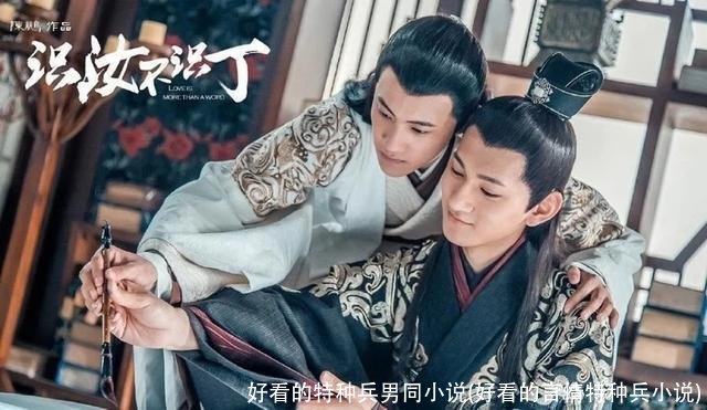 好看的特种兵男同小说(好看的言情特种兵小说)