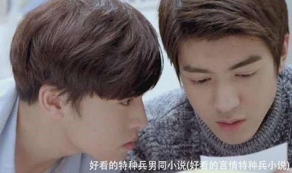 好看的特种兵男同小说(好看的言情特种兵小说)