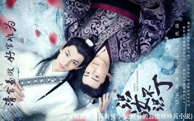好看的特种兵男同小说(好看的言情特种兵小说)