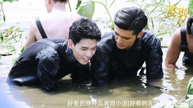 好看的特种兵男同小说(好看的言情特种兵小说)