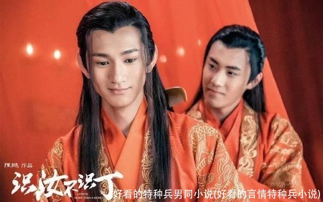 好看的特种兵男同小说(好看的言情特种兵小说)