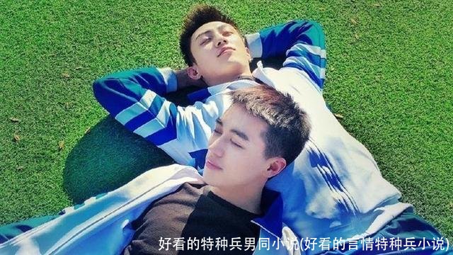 好看的特种兵男同小说(好看的言情特种兵小说)