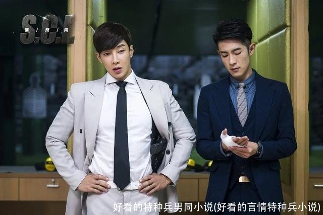 好看的特种兵男同小说(好看的言情特种兵小说)