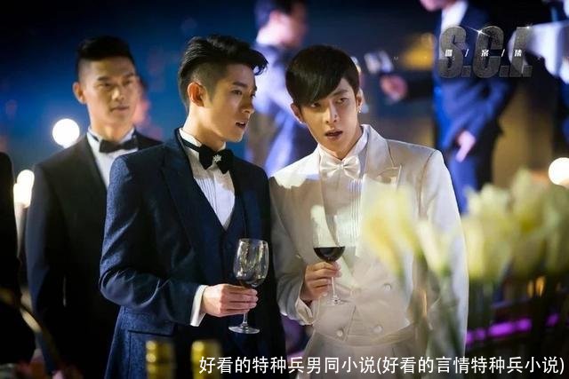 好看的特种兵男同小说(好看的言情特种兵小说)
