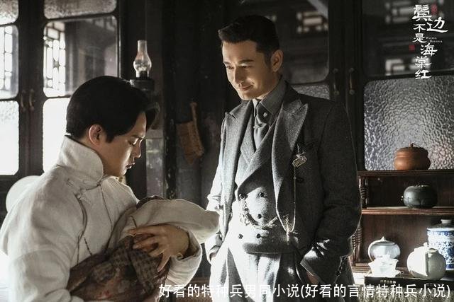 好看的特种兵男同小说(好看的言情特种兵小说)