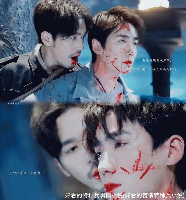 好看的特种兵男同小说(好看的言情特种兵小说)