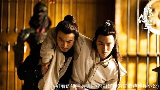 好看的特种兵男同小说(好看的言情特种兵小说)