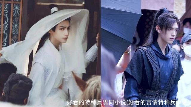 好看的特种兵男同小说(好看的言情特种兵小说)