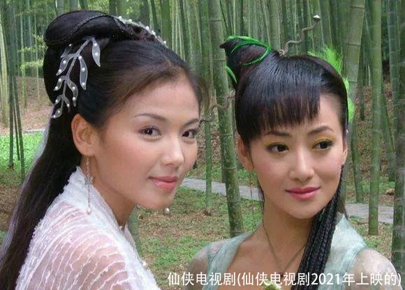 仙侠电视剧(仙侠电视剧2021年上映的)