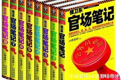 小说官场(小说官场奇才)