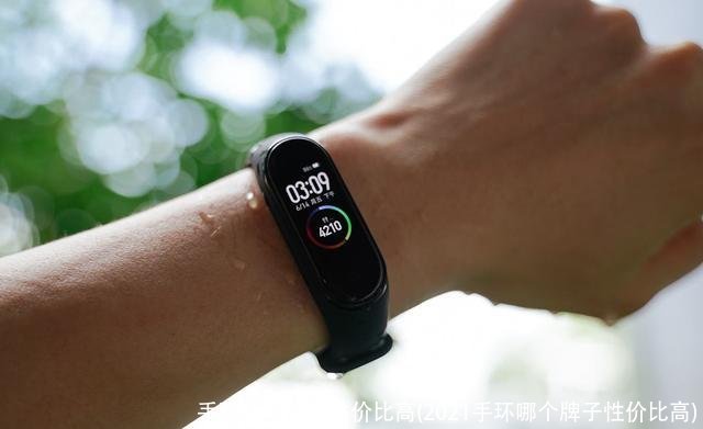 手环哪个牌子性价比高(2021手环哪个牌子性价比高)
