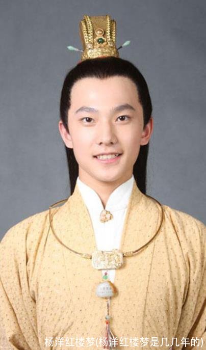 杨洋红楼梦(杨洋红楼梦是几几年的)