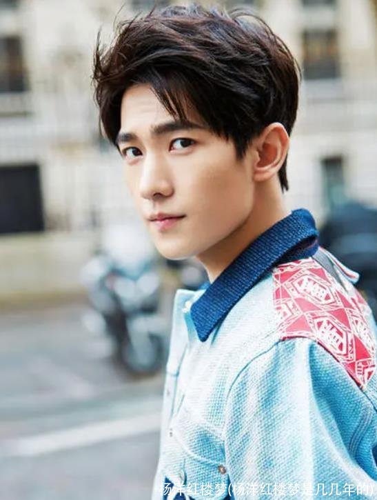 杨洋红楼梦(杨洋红楼梦是几几年的)