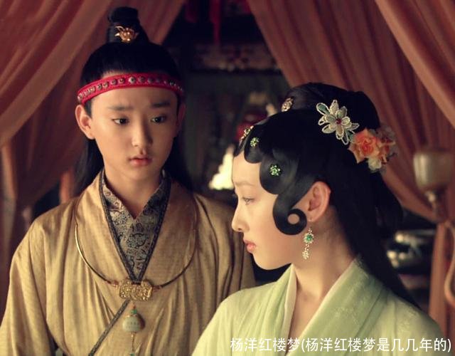 杨洋红楼梦(杨洋红楼梦是几几年的)