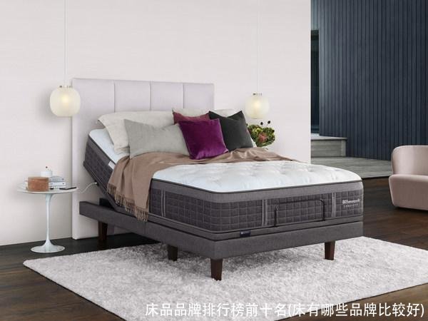 床品品牌排行榜前十名(床有哪些品牌比较好)