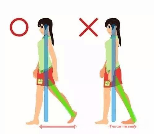 鞋舌是什么(鞋舌是什么图片)