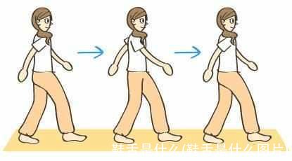 鞋舌是什么(鞋舌是什么图片)