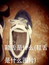 鞋舌是什么(鞋舌是什么图片)
