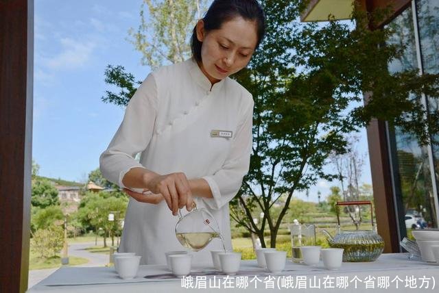 峨眉山在哪个省(峨眉山在哪个省哪个地方)