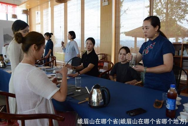 峨眉山在哪个省(峨眉山在哪个省哪个地方)