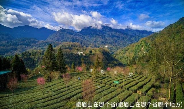 峨眉山在哪个省(峨眉山在哪个省哪个地方)