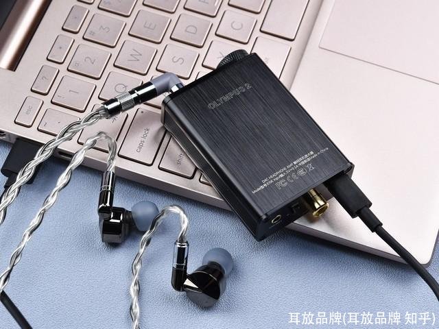 耳放品牌(耳放品牌 知乎)