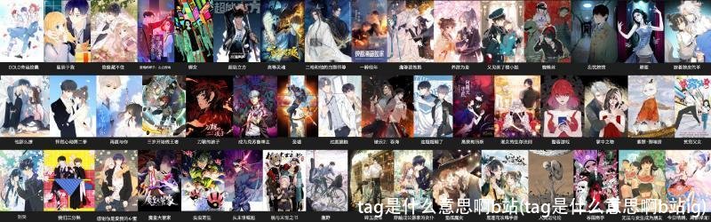 tag是什么意思啊b站(tag是什么意思啊b站ig)