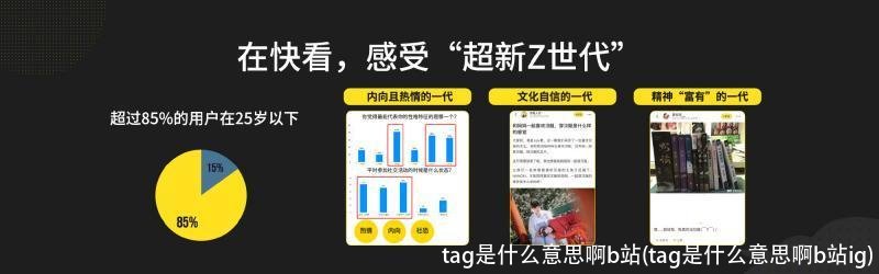 tag是什么意思啊b站(tag是什么意思啊b站ig)