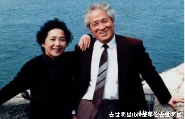 去世明星(blx是哪位去世明星)