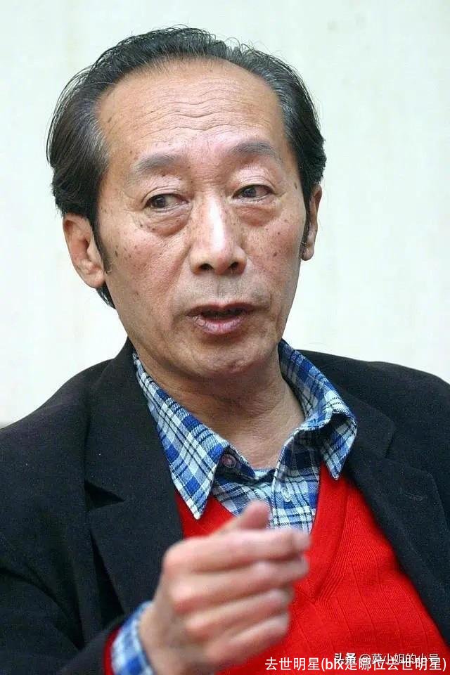 去世明星(blx是哪位去世明星)