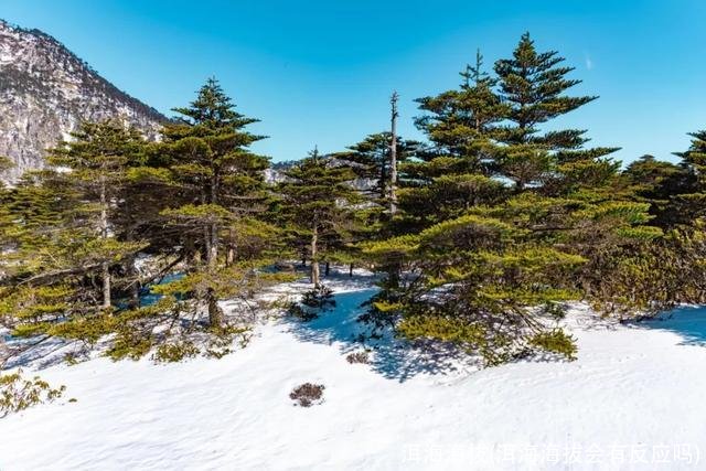 洱海海拔(洱海海拔会有反应吗)