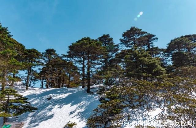 洱海海拔(洱海海拔会有反应吗)