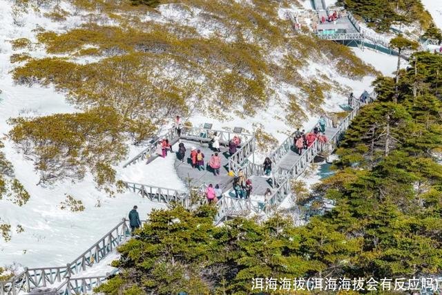 洱海海拔(洱海海拔会有反应吗)