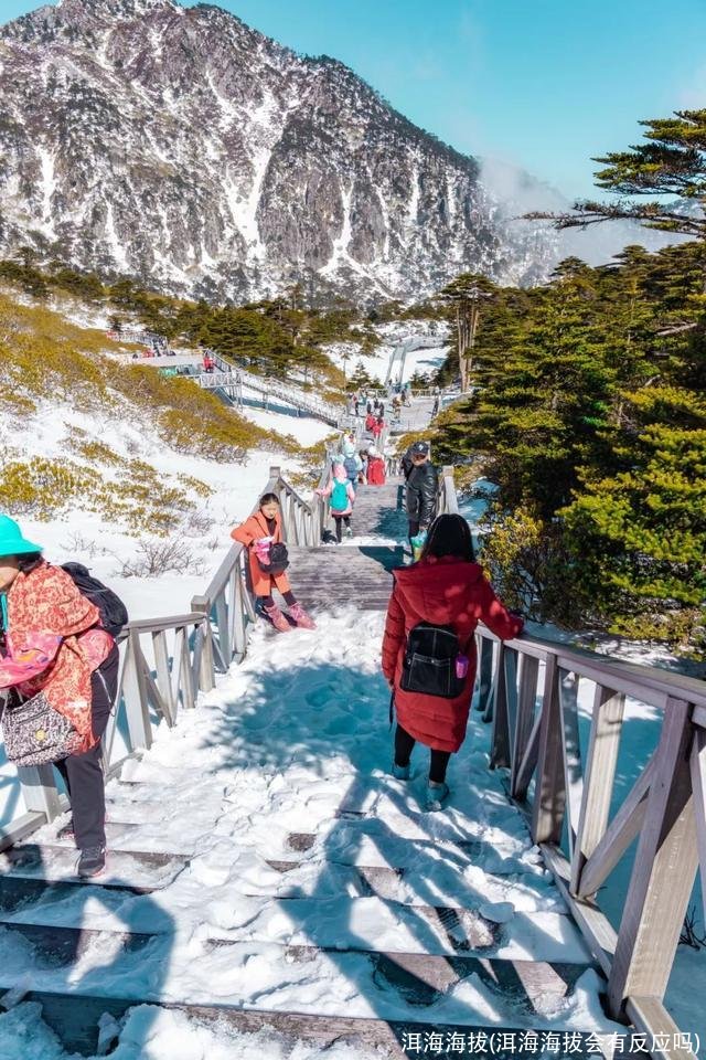 洱海海拔(洱海海拔会有反应吗)