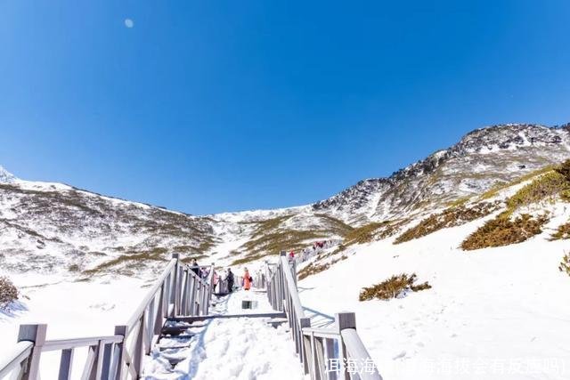 洱海海拔(洱海海拔会有反应吗)