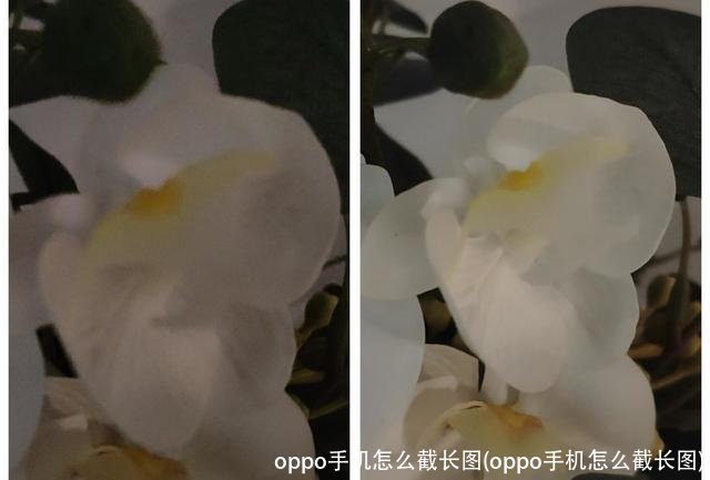 oppo手机怎么截长图(oppo手机怎么截长图)