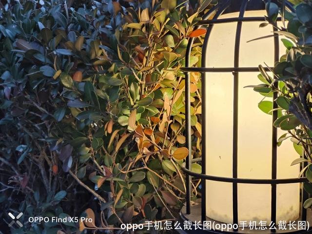 oppo手机怎么截长图(oppo手机怎么截长图)