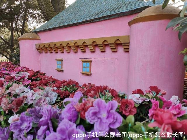 oppo手机怎么截长图(oppo手机怎么截长图)