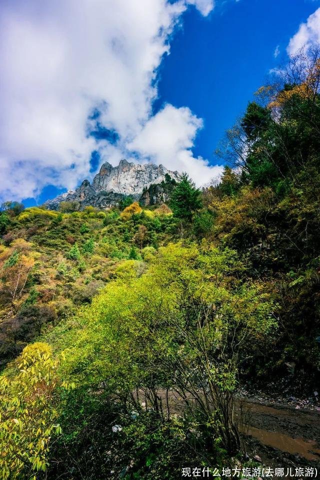 现在什么地方旅游(去哪儿旅游)