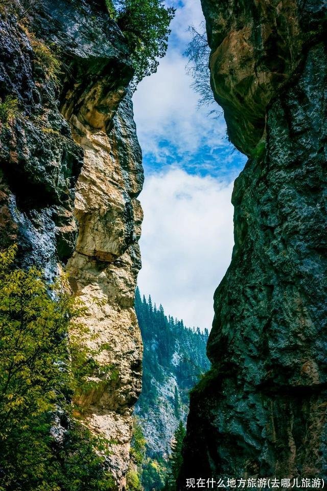 现在什么地方旅游(去哪儿旅游)