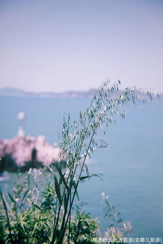 现在什么地方旅游(去哪儿旅游)
