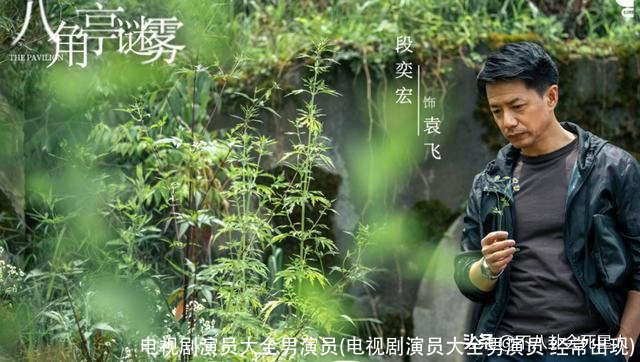 电视剧演员大全男演员(电视剧演员大全男演员 经常出现)