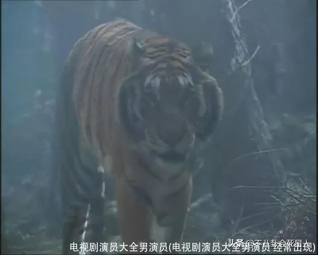 电视剧演员大全男演员(电视剧演员大全男演员 经常出现)