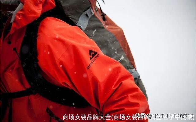 商场女装品牌大全(商场女装品牌大全名字中低端)