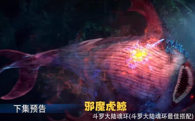 斗罗大陆魂环(斗罗大陆魂环最佳搭配)