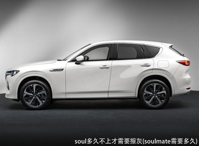 soul多久不上才需要擦灰(soulmate需要多久)