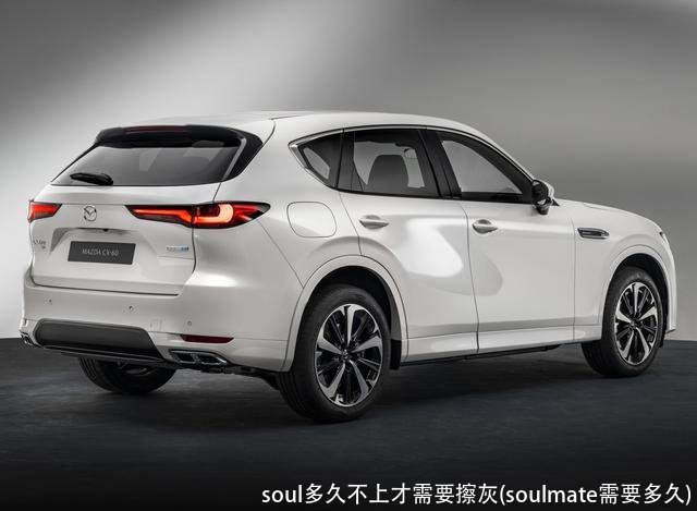 soul多久不上才需要擦灰(soulmate需要多久)