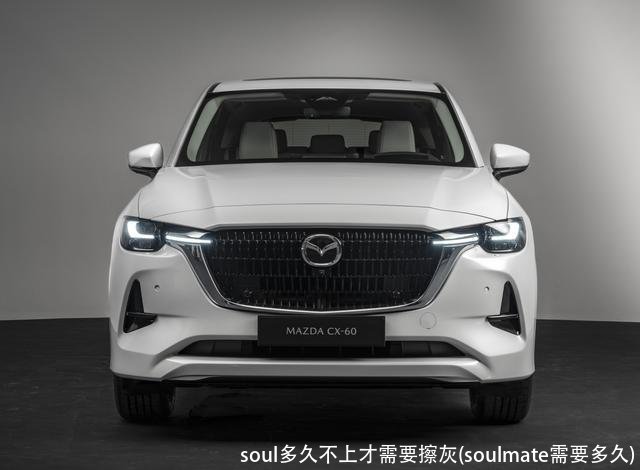 soul多久不上才需要擦灰(soulmate需要多久)