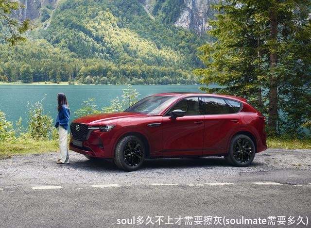 soul多久不上才需要擦灰(soulmate需要多久)