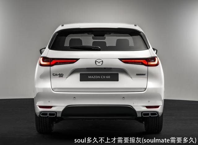 soul多久不上才需要擦灰(soulmate需要多久)